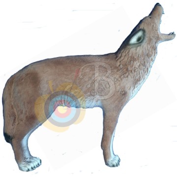 Center Point Coyote