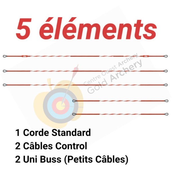 Cablage LBS 4 elements