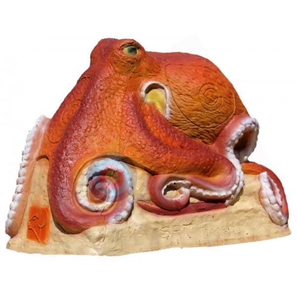 SRT cible 3D pieuvre