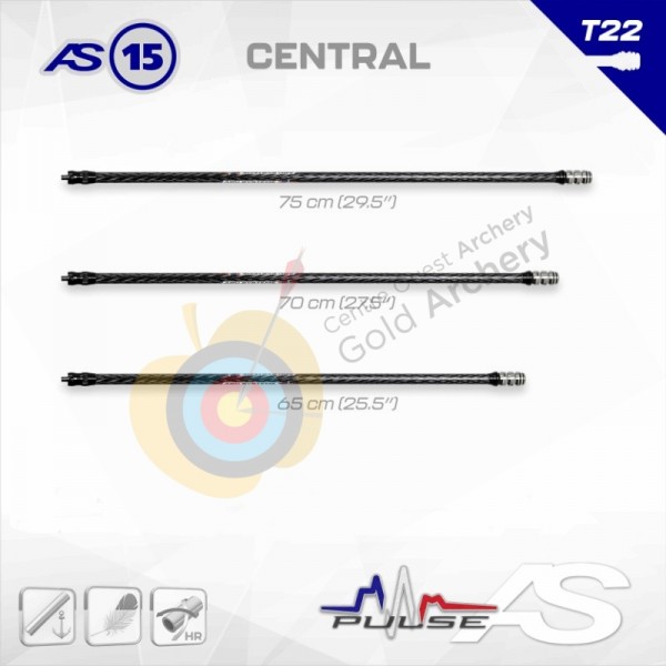 Arc Système Central AS15