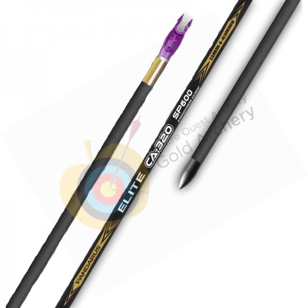 Pandarus flèche alu/carbone CA320