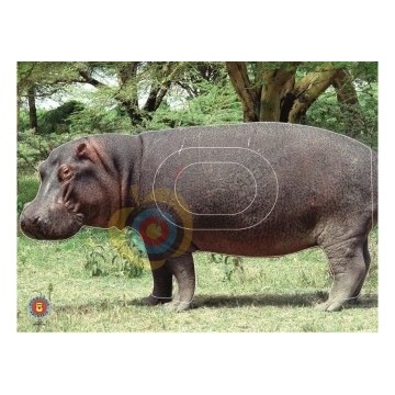 Normandie archerie: Hippopotame