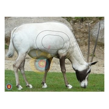 Normandie archerie: Oryx d'Arabie