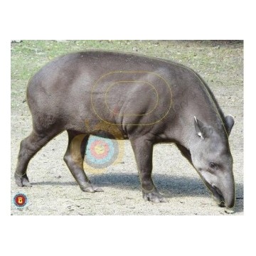 Normandie archerie: Tapir
