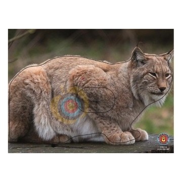Normandie archerie: Lynx couché