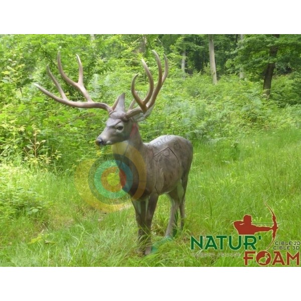 SRT cible 3D cerf de virginie