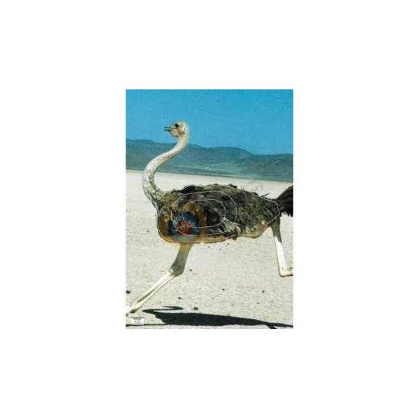 aventure blason animalier autruche